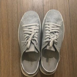 Silver Sneaks